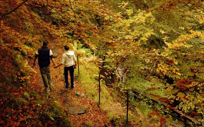 Where you can experience the most stunning walks in the UK this autumn

